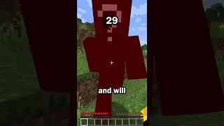 Guess the Minecraft mob in 60 seconds 7