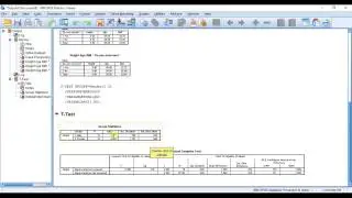 SPSSisFun: Independent Samples T-test