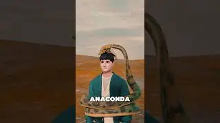 How to Survive an Anaconda Attack 🐍🔪