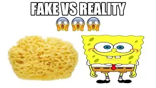 Fake VS Reality (SpongeBob Edition)