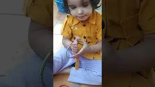 baby playing with bangles #babyshorts #gaming #shortsfeed #fun #funny #funny #games #viral #ytshorts