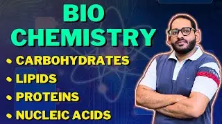 Biochemistry | Carbohydrates, Lipids, Proteins, Nucleic Acids(DNA + RNA) | Complete Chapter
