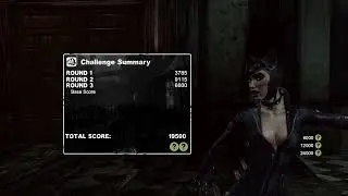 Arkham City - Catwoman flawless Blind Justice (no hit, no failed move)