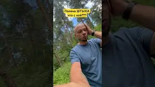 Что с ней??? 🤬 Поляна Штыка #опаснаяохота #пробро #серегаштык