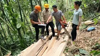 Timber Owners and Technicians - come check the progress of the quantity and quality of the wood