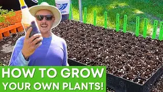 Seeds You Should Be Planting Right Now!