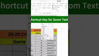 Shortcut key for Zoom Text in Excel.