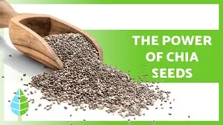 Health Benefits of CHIA SEEDS💚 Properties, Uses & Easy Recipes