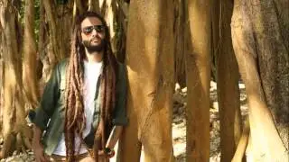 Alborosie Global War