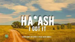 Ha*Ash - I Got It