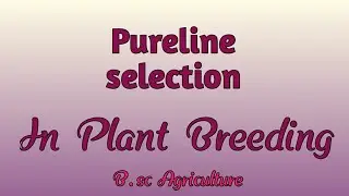 Pureline selection (Full Explaination in english and hindi) #Plant breeding