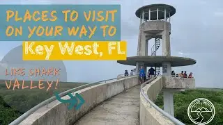 Places to Stop When Road Trippin to Key West: Shark Valley, John Pennekamp and Robbie Hungry Tarpon