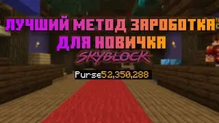 ЛУЧШИЙ МЕТОД ЗАРАБОТКА ДЛЯ НОВИЧКОВ(SKYBLOCK HYPIXEL)