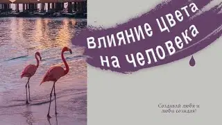 Сиреневый цвет в интерьере. Воздействие цвета на человека. Используй силу цвета.