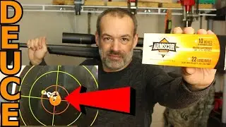 Armscor 22lr Review Is Cheap Ammo Accurate?