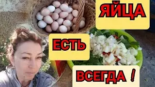 Полезная Добавка в Корм для Яйценоскости и Здоровья Кур❗//Старый Способ Увеличения Яйценоскости Кур.