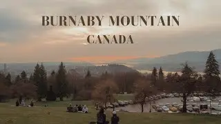 Burnaby Mountain: Hiking with Mosquitoes