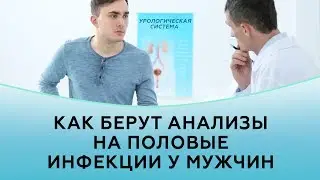 Как берут анализы на половые инфекции у мужчин | Частная практика