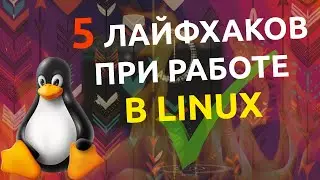 💥 Linux для всех | 5 лайфхаков для повседневной работы: VPN, EndeavourOS, DVD-Video, Mogrify 🚀