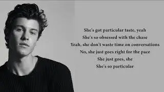 Shawn Mendes - Particular Taste (lyrics)