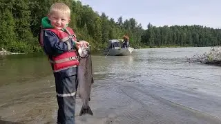 Salmon Fishing Catch & Cook - 50 fish in 4 hrs.