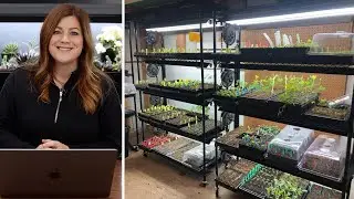 Looking at 20 Great Seed Starting Set-Ups! 🌱🙌🪴 // Garden Answer