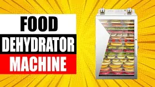 TOP 5 Best Food Dehydrator Machine in 2024