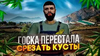 ВЫРАЩИВАНИЕ РАЗРЕШЕНО в GTA 5 RP #14 ПУТЬ до МИЛЛИАРДА