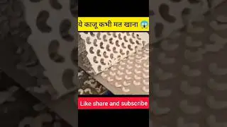 ये काजू कभी मत खाना 😱#facts #youtubeshorts #youtuber #shortsvideo #kaju