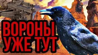 ВОРОНЫ КРОССАУТ -- Новое оружие и модули