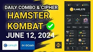 HAMSTER KOMBAT DAILY COMBO AND CIPHER | JUNE 12, 2024