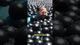 Por que é perigoso nadar com essas bolas pretas?