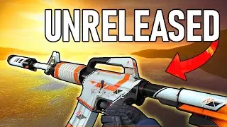 The Asiimov Skins that Valve NEVER RELEASED