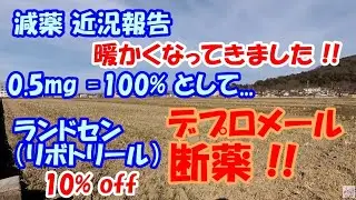 【減薬】 ランドセン（リボトリール） 10％ off 【デプロメール断薬 !!! ..😄】　　／ パニック障害、うつ、SSRI　　　／ 0.5mg=100%として　　2023年4月10日