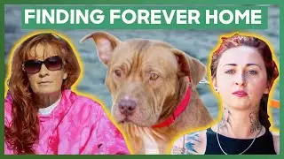 Tia Sends Tania And Maria To Drive Almost 36 Hours To Deliver Dogs | Pit Bulls & Parolees