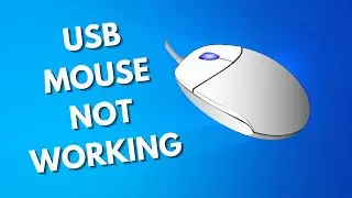 How To Fix USB Mouse Not Working on Windows 11/10