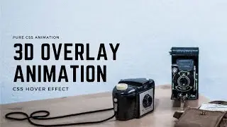 3D Overlay Hover Animation | CSS Animation Examples