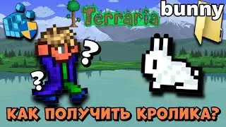 Terraria 1.4.4.9 - КАК ПОЛУЧИТЬ СЕКРЕТНОГО ПИТОМЦА КРОЛИКА | Террария 1.4