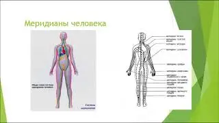 статья  Движения потоков жизненной энергии внутри тела человека