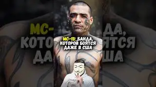 😱 Самая жестокая банда мира: 300 000 бойцов и полная безнаказанность! | 