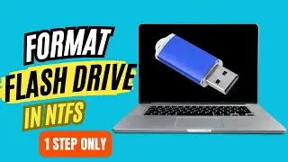 How To Format Flash Drive USB Drive To NTFS File System in Windows 11 [2024]