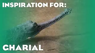 7 Real Gharial Habitats! (Planet Zoo Inspiration)