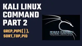 [Bangla] Kali Linux Command line/Terminal Tutorial | Part 2 | Linux Command