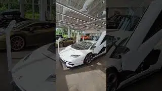 LAMBO Paradise at Lamborghini Miami