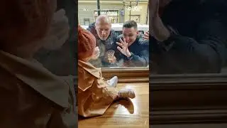 Little girl delights passersby while sitting in shop window