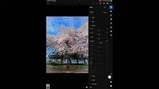 How to edit photo on iPad Vignette