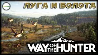 WAY OF THE HUNTER - ПРОХОЖДЕНИЕ. ТРОФЕЙНЫЙ ФАЗАН. СТРИМ. #3