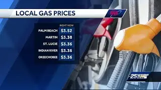 AAA: Gas prices in Florida