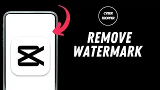 How to Remove Watermark From Tiktok Videos Using Capcut