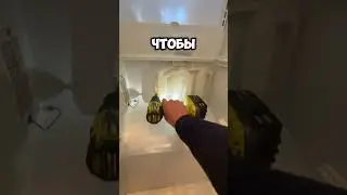 Работа в США #нашивсша #ремонтсвоимируками #appliance #repair #техника #холодильник #стиральная